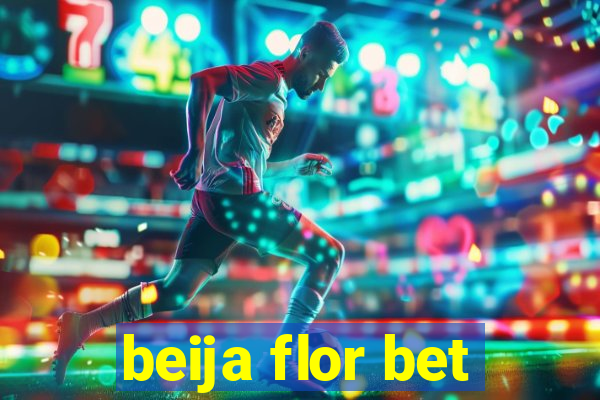 beija flor bet